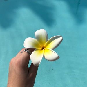 Meet your Posher, Sophia